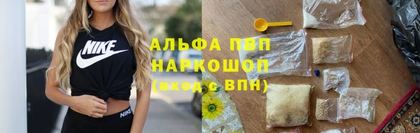 стафф Алексин