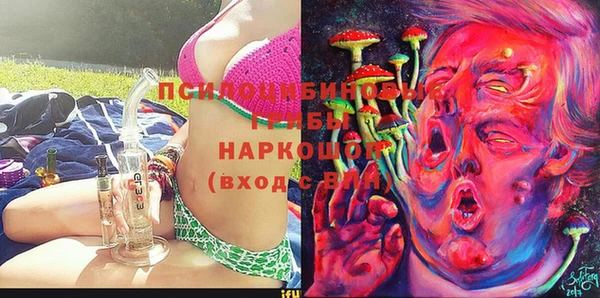 винт Алзамай