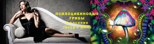 стафф Алексин