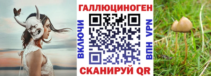 Псилоцибиновые грибы ЛСД  даркнет сайт  Добрянка 