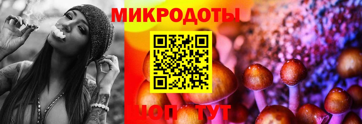 Галлюциногенные грибы Psilocybe Добрянка