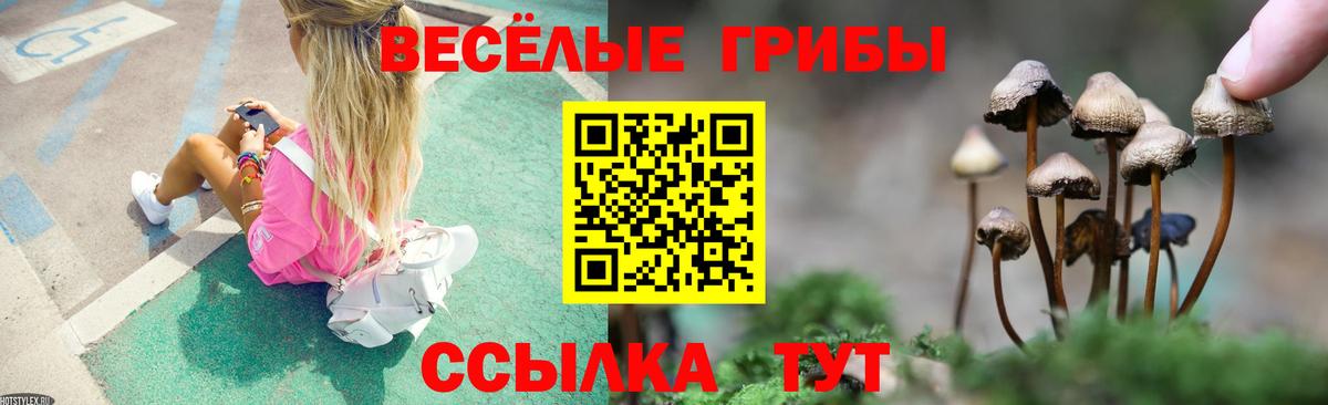 Псилоцибиновые грибы Magic Shrooms  Вход с VPN  Псилоцибиновые грибы мухоморы  Добрянка 